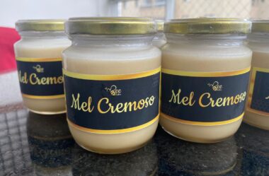 O que é o mel cremoso? Como é produzido, como armazenar?